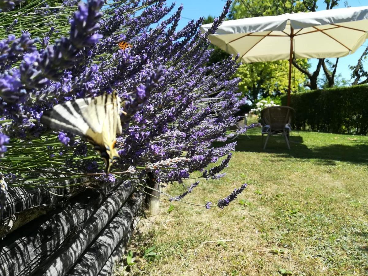 Cocconato Sotto La Luna Bruna B&B المظهر الخارجي الصورة