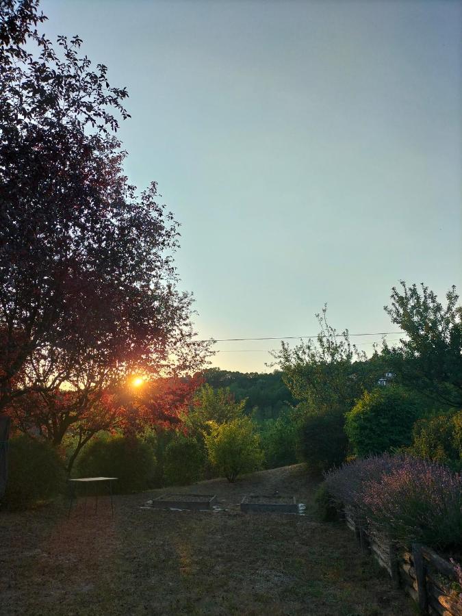 Cocconato Sotto La Luna Bruna B&B المظهر الخارجي الصورة