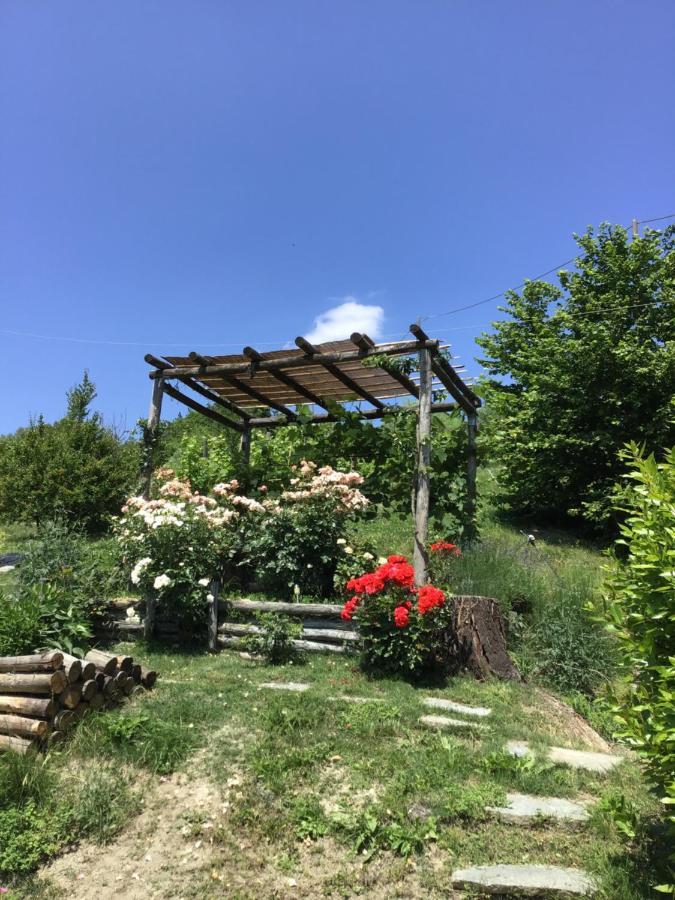 Cocconato Sotto La Luna Bruna B&B المظهر الخارجي الصورة