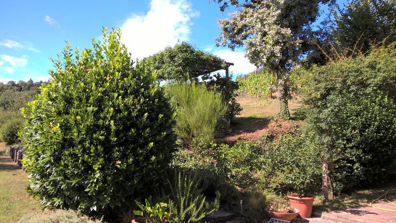 Cocconato Sotto La Luna Bruna B&B المظهر الخارجي الصورة