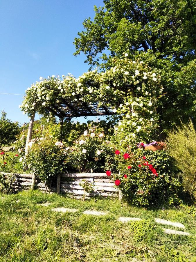 Cocconato Sotto La Luna Bruna B&B المظهر الخارجي الصورة